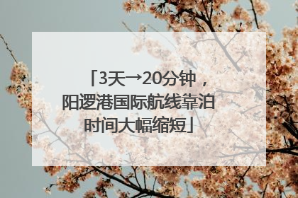 3天→20分钟，阳逻港国际航线靠泊时间大幅缩短